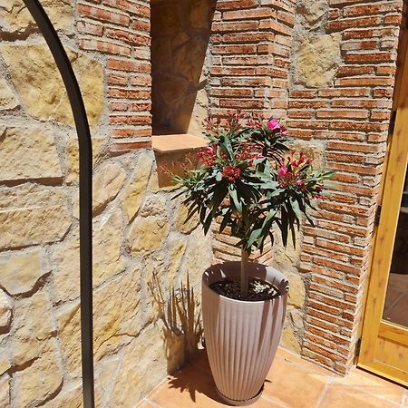 Casa Rural Del Pantano 4 Estrellas Buenache de Alarcon Eksteriør bilde